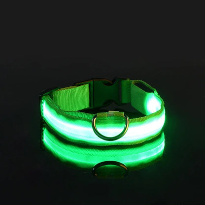 LED Dog Collar Glow-in-the-Dark Nylon Safety Leash