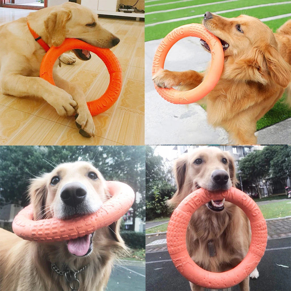 Indestructible Dog Ring Toy for Chewing & Fetch