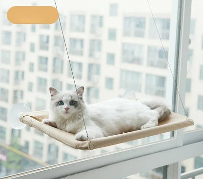 Hanging Cat Bed Hammock Window Seat 20KG Capacity