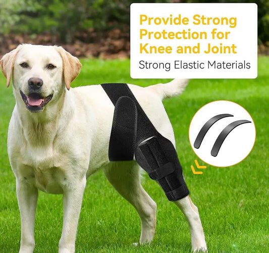 Adjustable Dog Knee Brace for Joint Injury & Post-Surgery Recovery