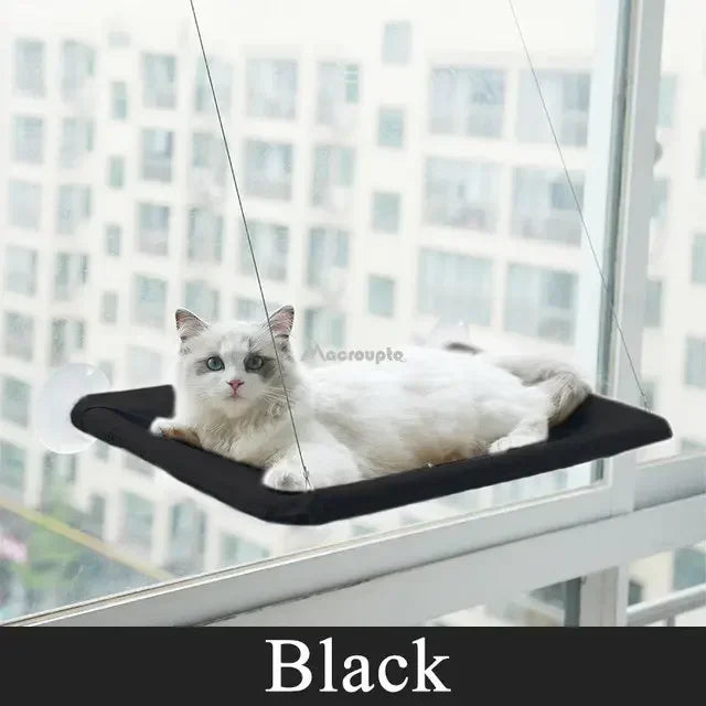 Hanging Cat Bed Hammock Window Seat 20KG Capacity