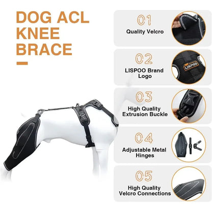 Dog ACL Knee Brace for Joint Support & Recovery