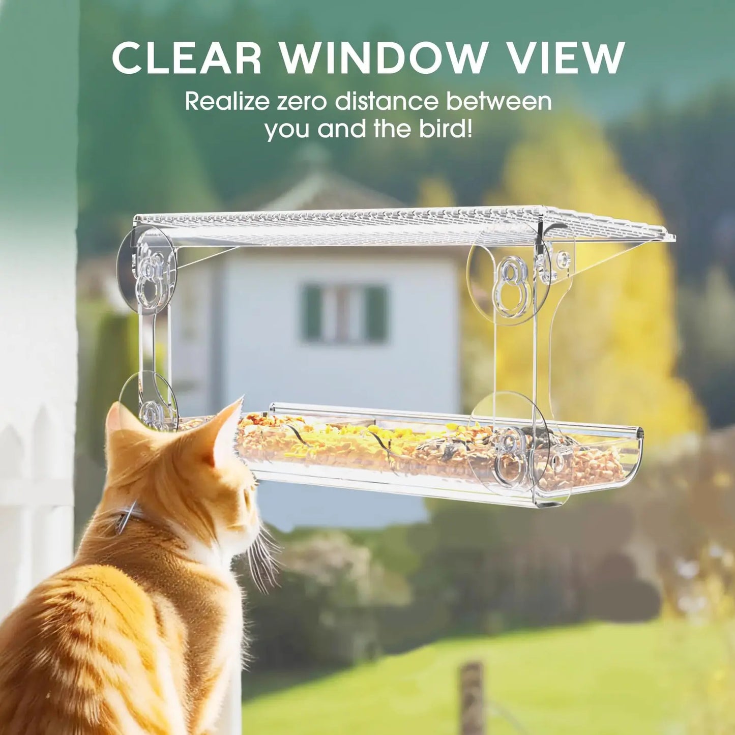 Window Bird Feeder with Suction Cups - Clear Outdoor