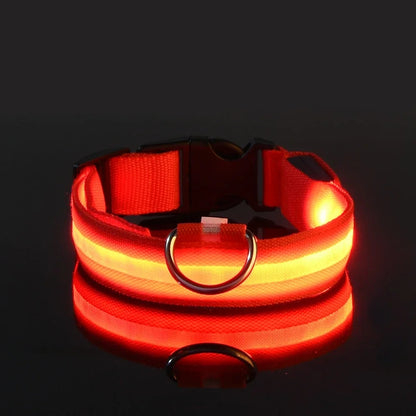 LED Dog Collar Glow-in-the-Dark Nylon Safety Leash