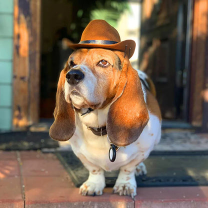 Pet Cowboy Hat Adjustable Cap for Small Dogs & Cats