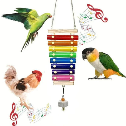 Colorful Bird Xylophone Toy for Parrots & Parakeets