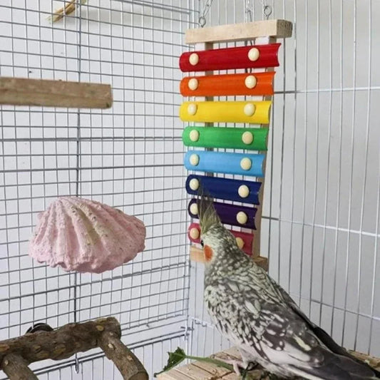 Colorful Bird Xylophone Toy for Parrots & Parakeets