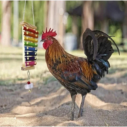 Colorful Bird Xylophone Toy for Parrots & Parakeets