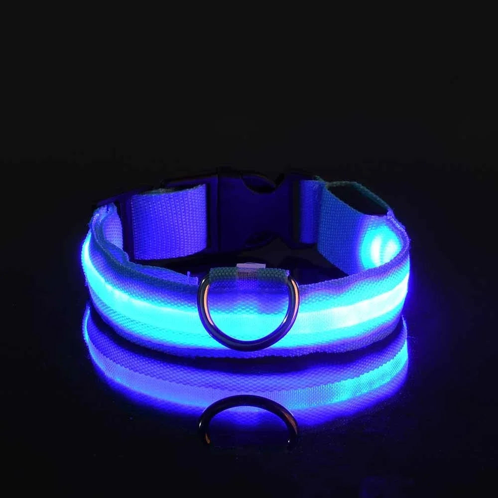 LED Dog Collar Glow-in-the-Dark Nylon Safety Leash