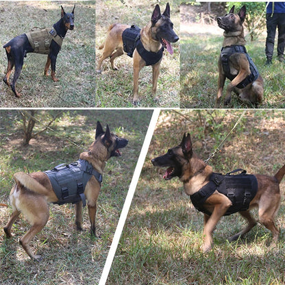 Tactical Dog Vest and Leash Set for Training & All Breeds