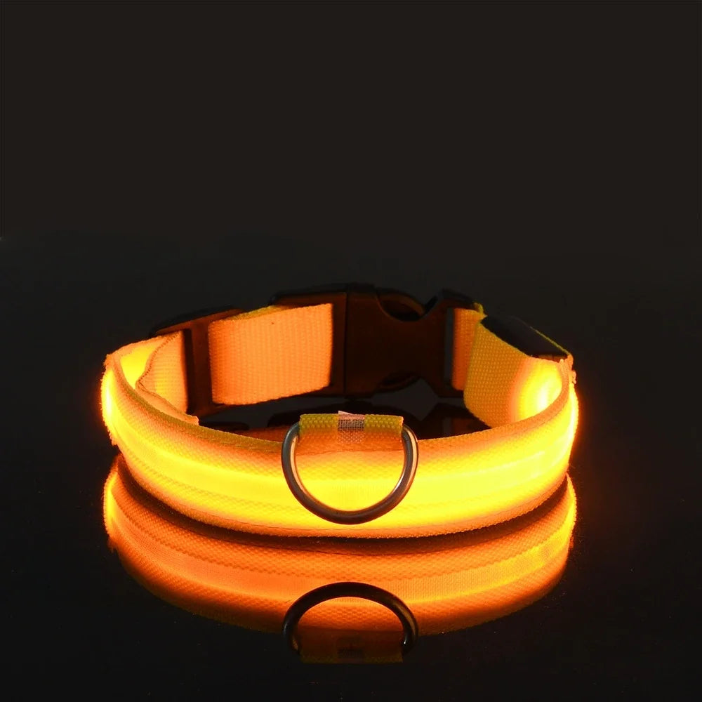 LED Dog Collar Glow-in-the-Dark Nylon Safety Leash