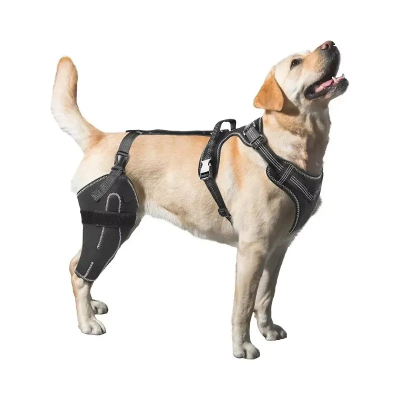 Dog ACL Knee Brace for Joint Support & Recovery