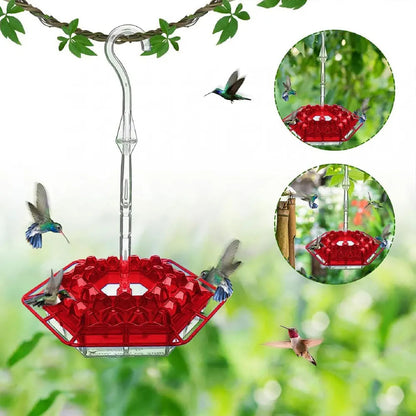 Hanging Hummingbird Feeder with Perch & Ant Moat