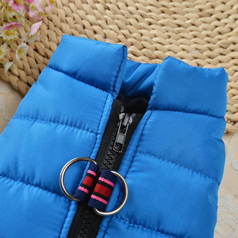 Waterproof Winter Jacket for Small & Medium Dogs