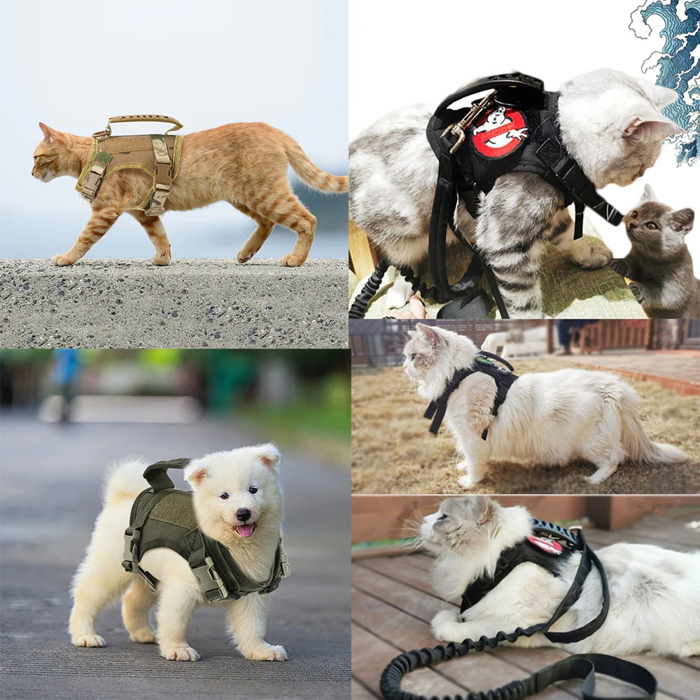 Tactical Adjustable Cat Dog Harness with Leash for Training