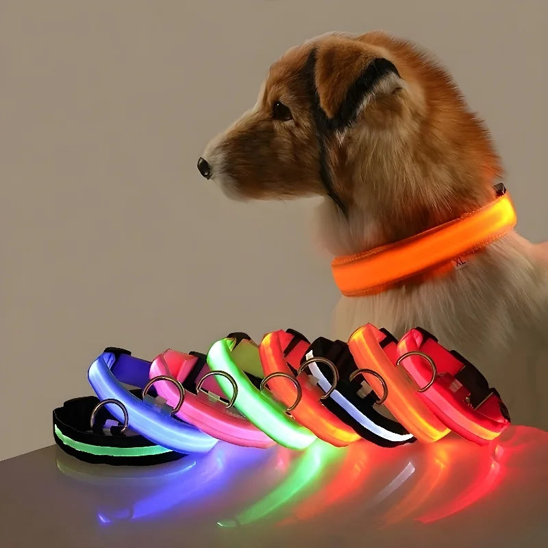 LED Dog Collar Glow-in-the-Dark Nylon Safety Leash