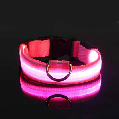 LED Dog Collar Glow-in-the-Dark Nylon Safety Leash