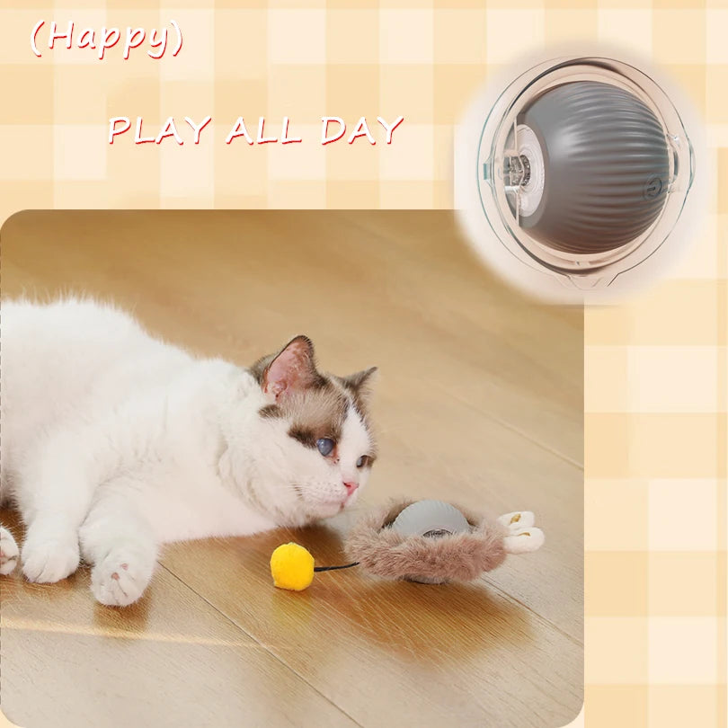 Motion-Activated Rolling Ball Cat Toy for Hide & Seek