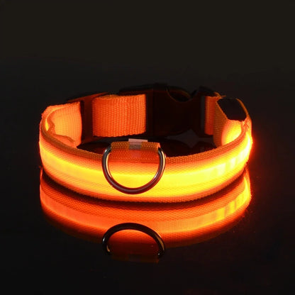 LED Dog Collar Glow-in-the-Dark Nylon Safety Leash