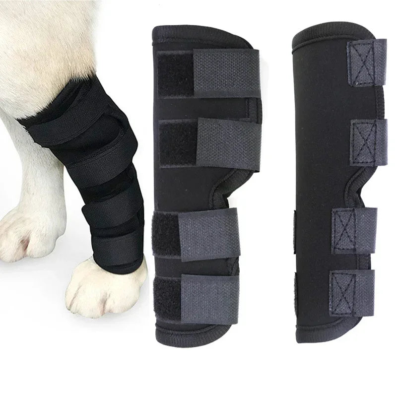 Dog Knee Brace for Injury Leg Protection & Joint Support