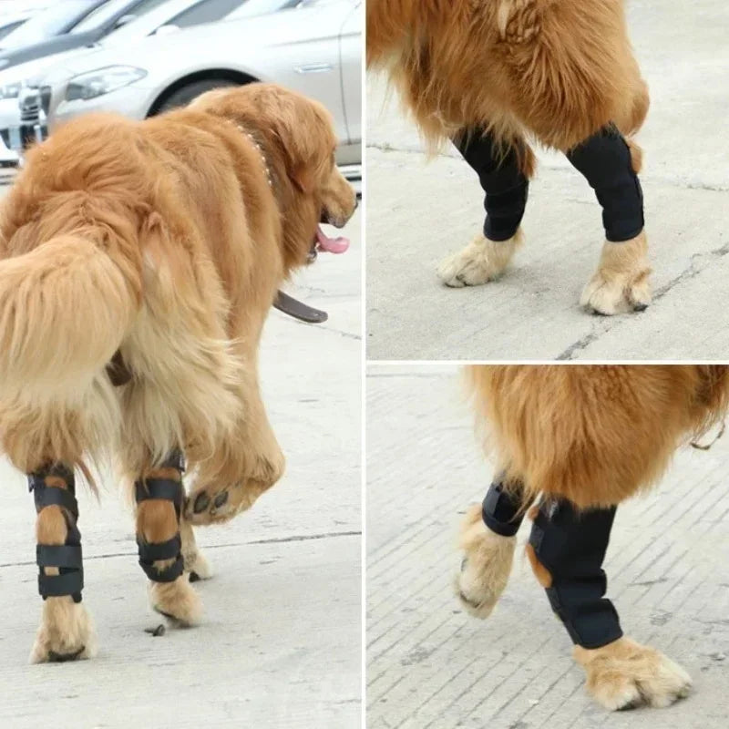 Dog Knee Brace for Injury Leg Protection & Joint Support