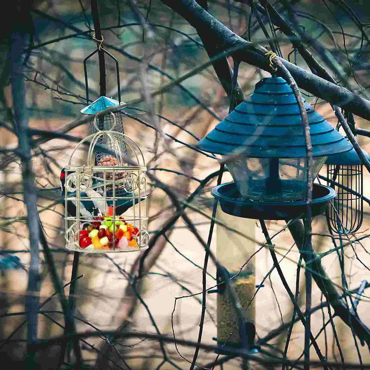 "2PCS Vintage Wrought Iron Hanging Bird Feeder Cage"