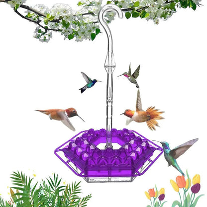 Hanging Hummingbird Feeder with Perch & Ant Moat