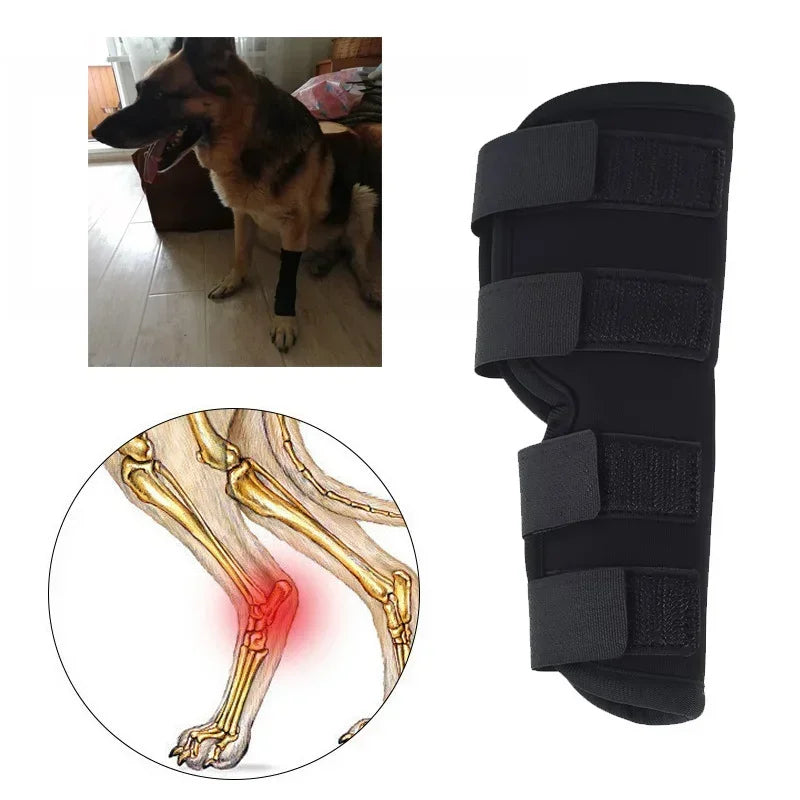 Dog Knee Brace for Injury Leg Protection & Joint Support