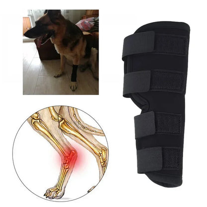 Dog Knee Brace for Injury Leg Protection & Joint Support