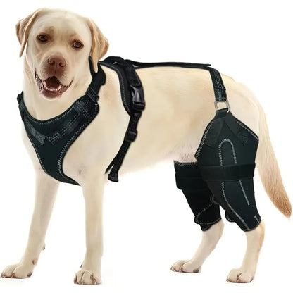 Dog ACL Knee Brace for Joint Support & Recovery