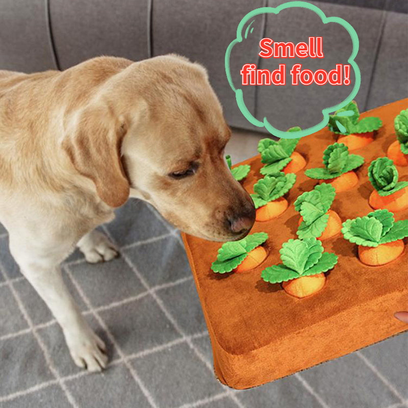 Carrot Plush Chew Toy for Dogs & Cats