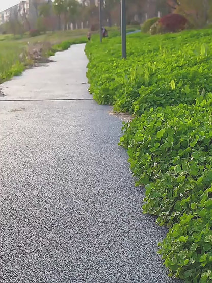 Portable Dog Water Bottle Feeder