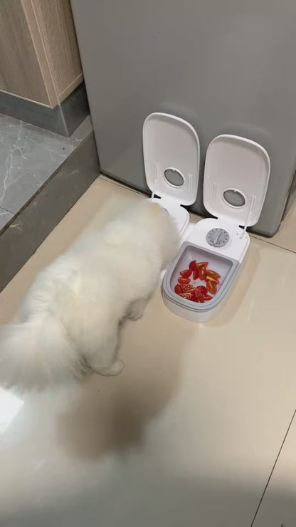 Smart Food Dispenser For Cats and Dogs