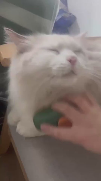 Grooming Comb