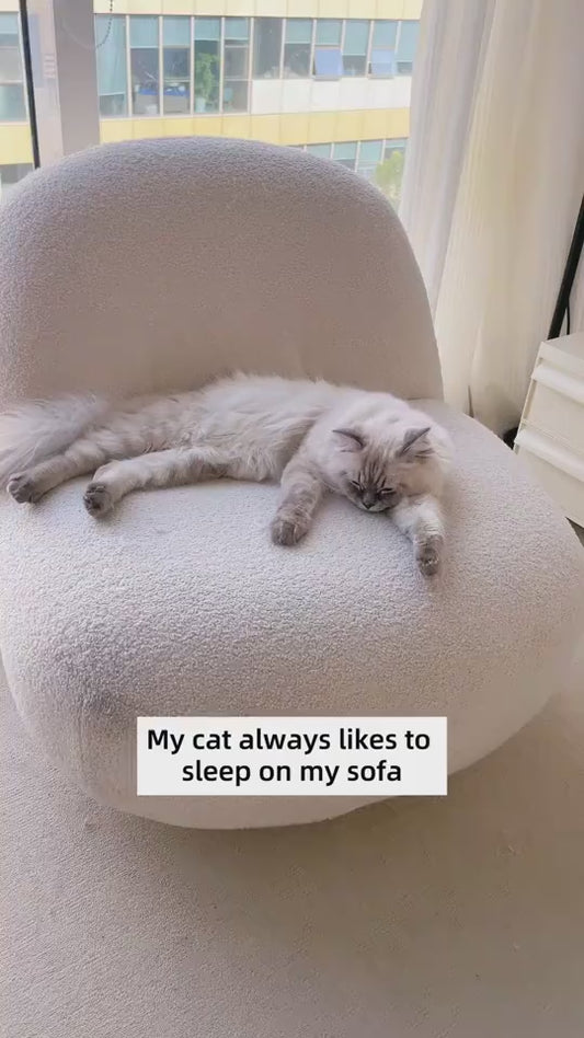 Luxury Cat Bed Sofa