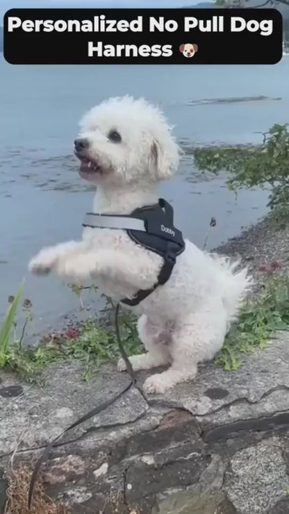 Reflective Adjustable Pet Harness Vest For Dogs