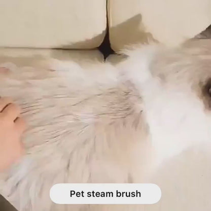 Grooming Comb