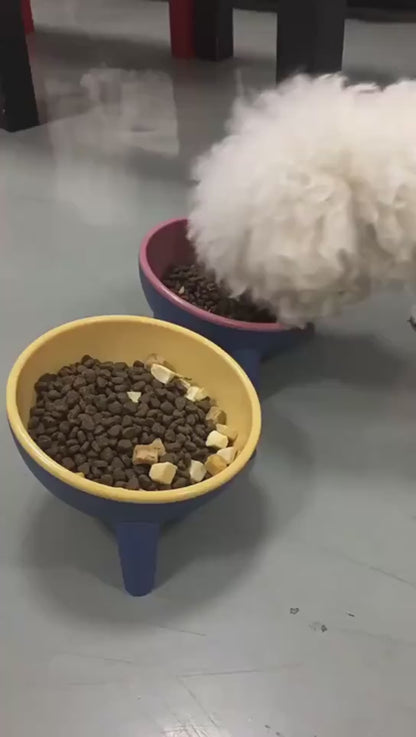 Dog Feeding Food Bowls