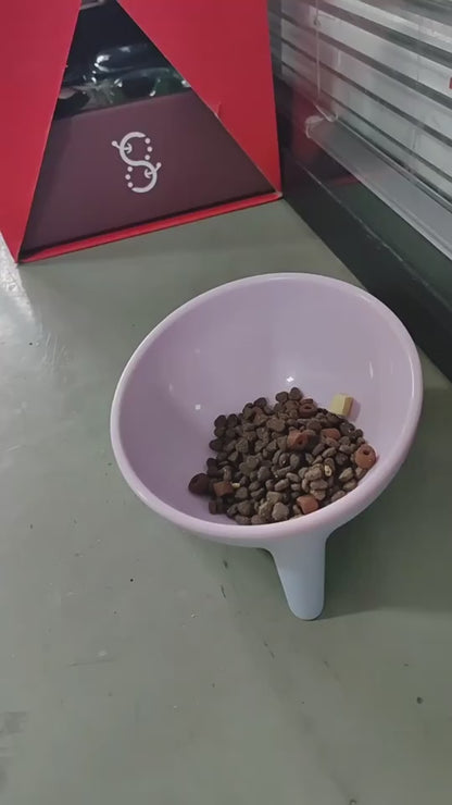 Dog Feeding Food Bowls