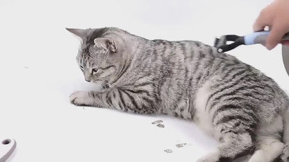 Grooming Brush For Fur Remover