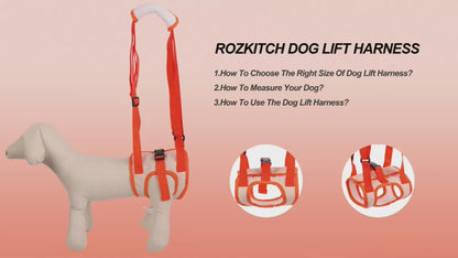 Adjustable Dog Sling Back Legs Support Harness for Rehabilitation