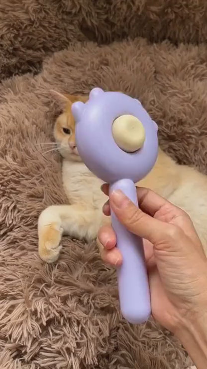 Cat Comb Massage Grooming Brush