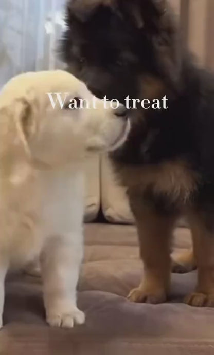 Silicone Dog Massage Brush