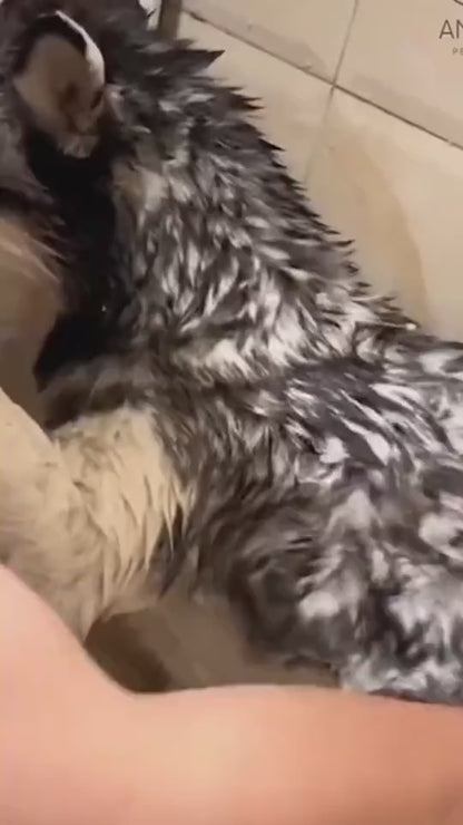 Silicone Dog Massage Brush